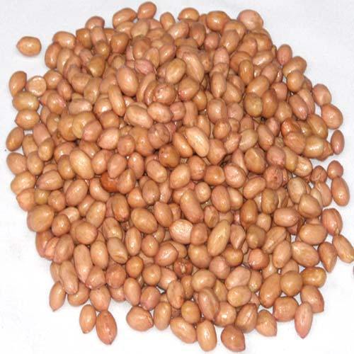 India Packed Dry Groundnut