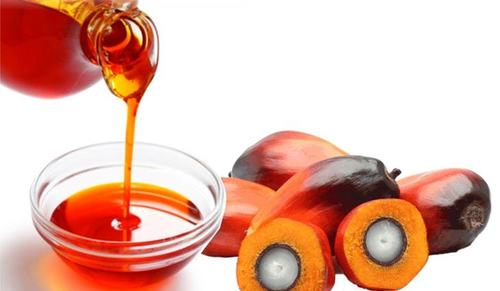Best Crude Palm Oil