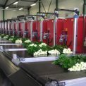 Bercomex For Flower Processing Machines