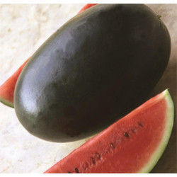 Black Queen Watermelon Seeds