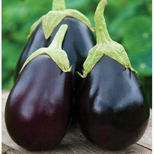 Unmatched Quality Brinjal Seeds