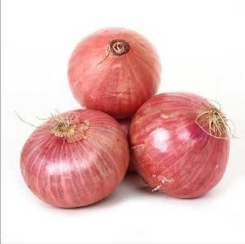 Grawa Fresh Onion