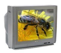Remote Operated Color Television
