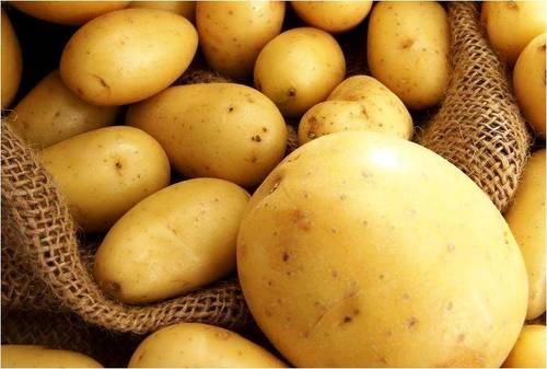 Fresh And Hygienically Packed Potatoes