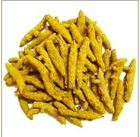 Low Price Polished Turmeric Finger