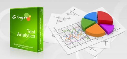 Test Analytic Software Services By Ginger Webs Pvt. Ltd.