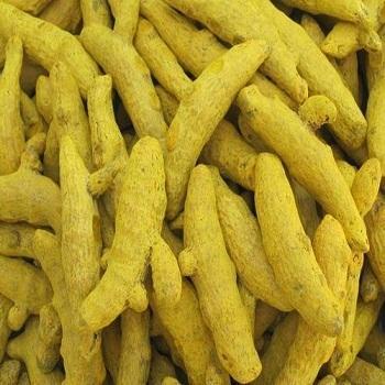 Turmeric Fingers and Turmeric Powder