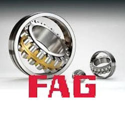 Best Price FAG Bearings