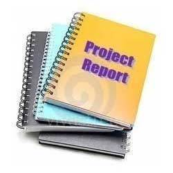 Project Report Management Services By Microline India Pvt. Ltd.