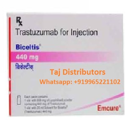 Vikmol Inj. Cream at Best Price in Sonipat, Haryana | Anvik Biotech