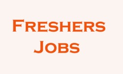 Fresher Jobs Consultancy Service By Divyalok Training And Placement Agency