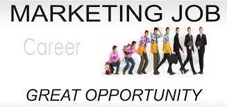 Marketing Jobs Consultancy Service By Divyalok Training And Placement Agency