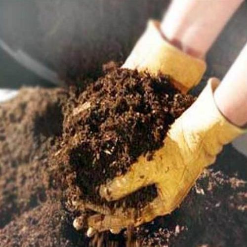 Organic Rhizobium Fertilizer