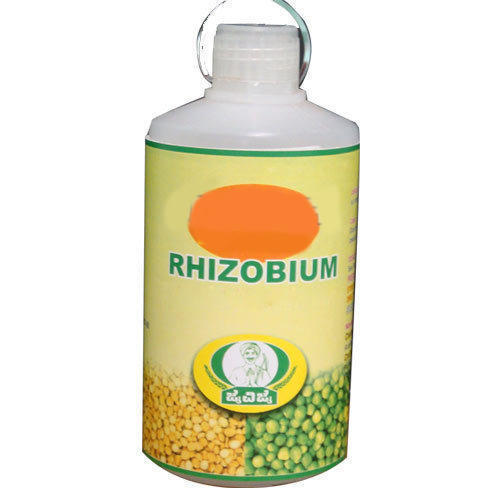 Rhizobium Liquid Bio Fertilizer