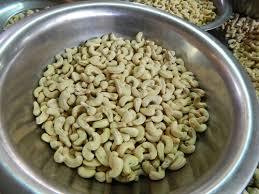 Anacardium Occidentale Cashew Nuts