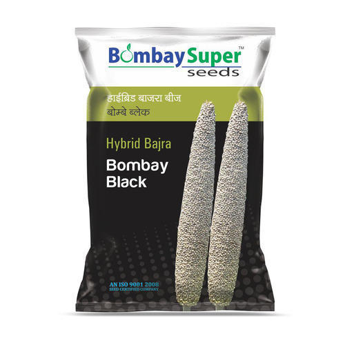 bajra seeds