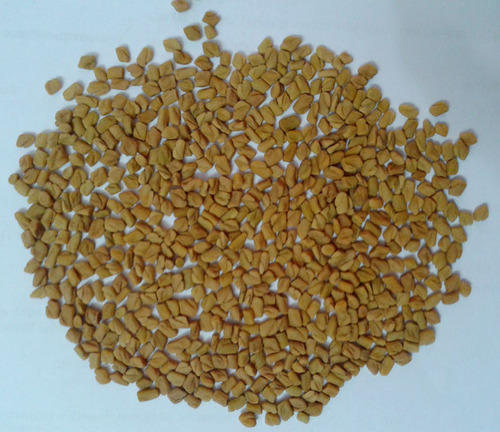 Yellow Fine Grade Fenugreek Seed