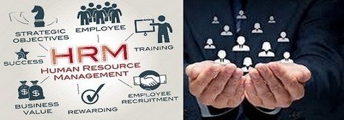 Human Resource Service - Online Payroll Management Package | Staff Record Management