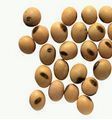 Hygienically Processed Soybean Seed