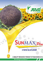 Sunmax Plus Sunflower Seeds