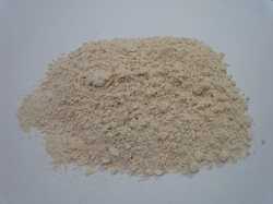 Quality Tested Dehydrated Garlic Powder