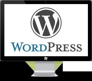 WordPress Development Services - Premium Open Source CMS, Engaging Blogging Community Features