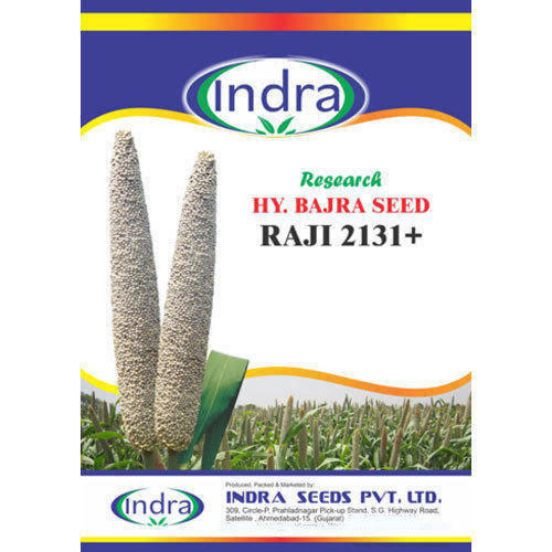 Hybrid Bajra Seed