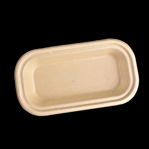 Disposable Plastic Container