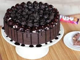 High Freshness Chocolate Cake