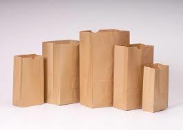 Brown Paper Carry Bag