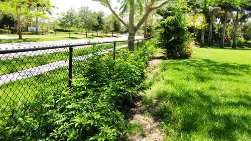 Commercial and Industrial Chain Link Fence