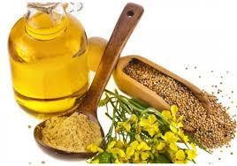 Mustard Seeds Oil