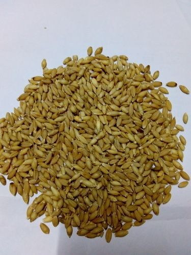 Premium Grade Peel Less Barley