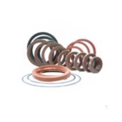 Roshini Oil Seals