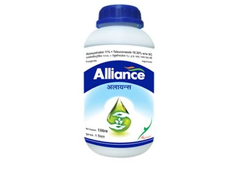 High Grade Alliance Fungicide