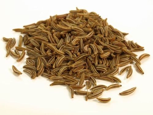 Hygienically Processed Cumin Seeds