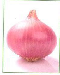 Onion Lalima Seeds 