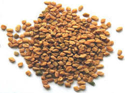 Premium Quality Fenugreek Seeds