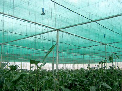 Best Quality Cultivation Net