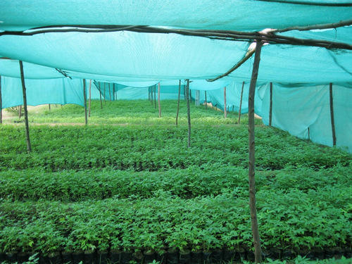 Durable Agro Shade Net