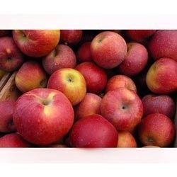 Fresh Apple Fruits