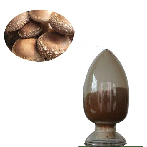 Shiitake Mushroom Extract