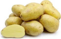 Best Price Fresh Potato