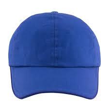 Blue Color Mens Caps