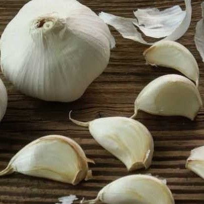 Pure White Fresh Garlic