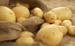 Purity And Freshness Potato