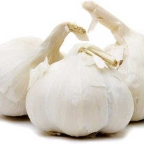 Fresh Pure White Garlic