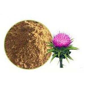 Milk Thistle Extracted By Ethanol