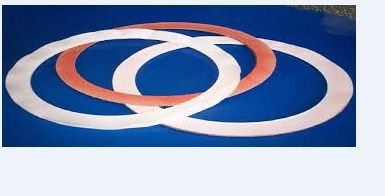 Best Finish PTFE Elliptical Gasket