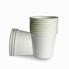 Disposable Plain Tea Cups